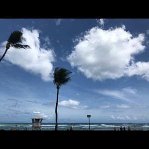 Meet your Posher, Wendy